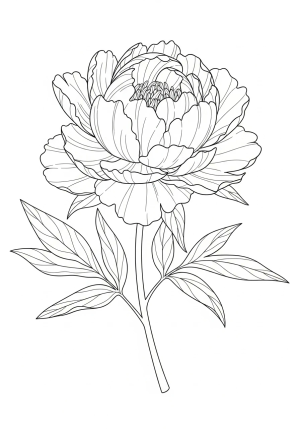 Intricate line drawing of a blooming peony with detailed petals and delicate foliage, emphasizing ornate patterns and textures