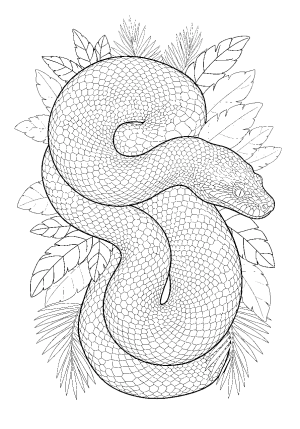 A detailed black and white illustration of a majestic anaconda coiled around lush jungle foliage, showcasing its textured scales and serpentine body.