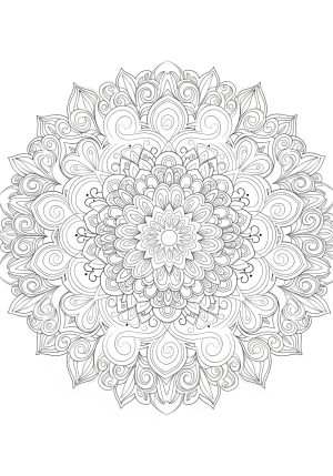 An intricate mandala design featuring swirling patterns, floral motifs, and geometric shapes radiating from the center