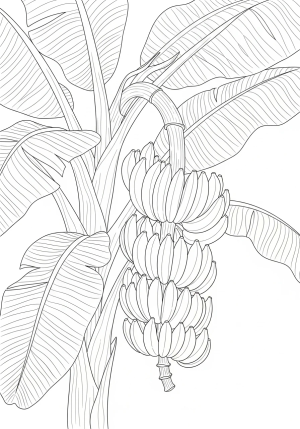 A detailed illustration of a bunch of bananas hanging from a tropical plant with large leaves in a natural setting
