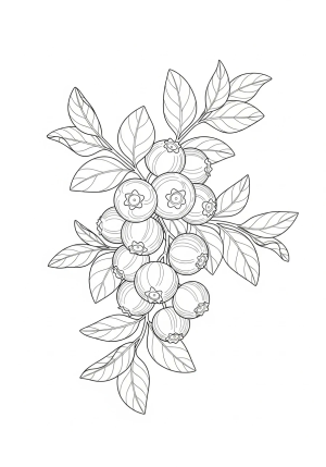 A detailed illustration of a cluster of ripe blueberries with leaves and branches to create a natural, intricate design