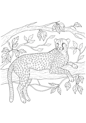 A detailed illustration of a cheetah resting on a tree branch with leaves and vines surrounding it, showcasing its sleek body and distinctive spots