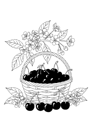 A charming scene of a basket overflowing with ripe cherries, surrounded by cherry leaves and blossoms, ready to be picked