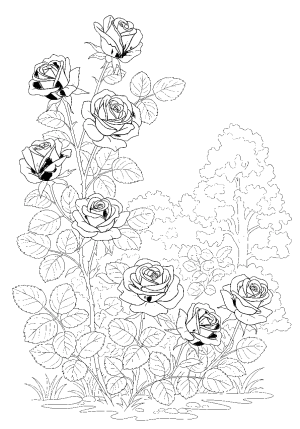 An elegant collection of pink roses with delicate leaves intertwined in a charming garden scene
