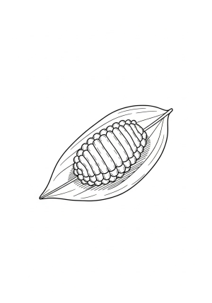 A detailed illustration of the butterfly's egg stage on a leaf, showing the small oval shape with textured surface.