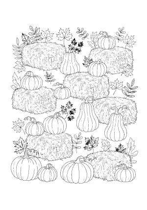 A charming pumpkin patch with various pumpkins of different shapes and sizes surrounded by hay bails and autumn foliage.