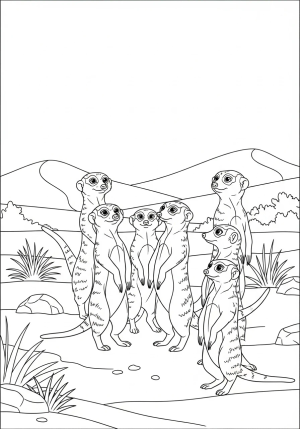 A playful group of meerkats standing upright on their hind legs, alert and exploring their desert surroundings