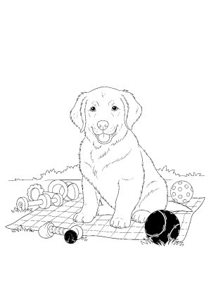 A cute puppy sitting on a cozy blanket surrounded by toys and a ball in a sunny park