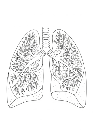 An artistic illustration of the alveoli within the lungs, emphasizing the tiny, grape-like structures involved in gas exchange