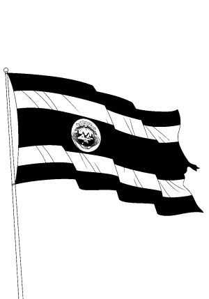A detailed line drawing of the Costa Rican flag waving in the breeze, showcasing the horizontal stripes and central coat of arms with intricate patterns and foliage.