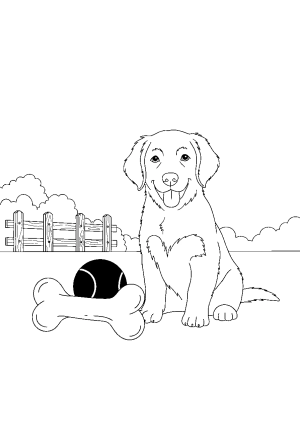 A cute dog sitting happily next to a ball and a bone, with a fence in the distance.