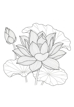 Intricate line drawing of a detailed blooming lotus with graceful petals and surrounding foliage, emphasizing delicate patterns and fine details