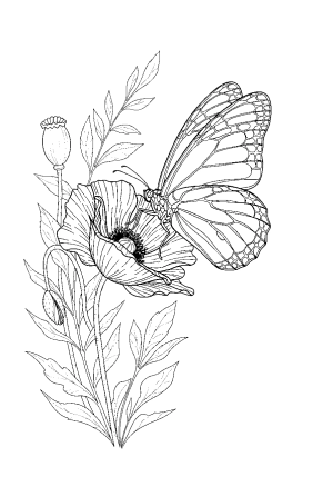 A detailed illustration of a butterfly perched on a blooming flower with intricate wing patterns and delicate surroundings