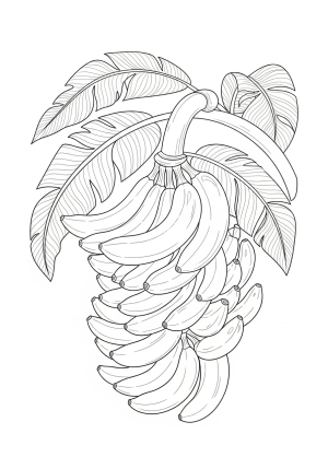A detailed illustration of a bunch of bananas hanging from a curved stem with leaves surrounding them