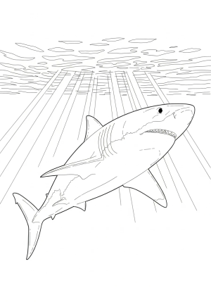 A majestic great white shark emerging from the ocean depths with rays of sunlight piercing the water above