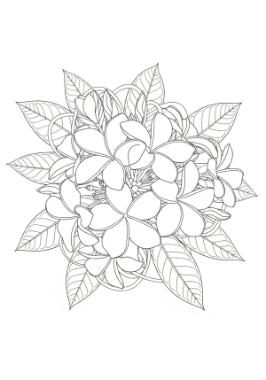Detailed illustration of a cluster of plumeria flowers with delicate petals and lush foliage intertwined