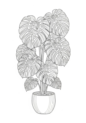 A detailed illustration of a tall, leafy monstera plant with large, split leaves growing in a decorative pot.
