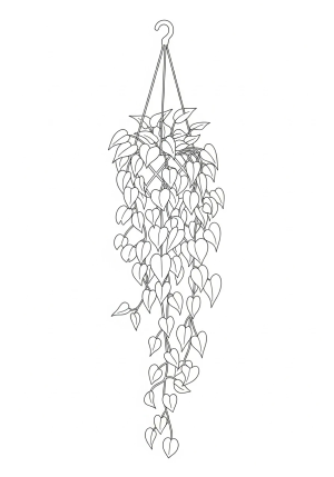 An elegant drawing of a cascading pothos plant with trailing vines and heart-shaped leaves, arranged in a stylish hanging basket.
