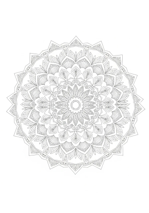 An intricate mandala pattern featuring elegant floral designs and symmetrical geometric shapes radiating outward