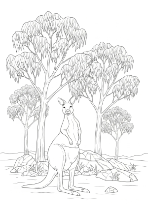 A playful scene of a kangaroo standing on its hind legs with its arms raised, near a group of eucalyptus trees and scattered rocks