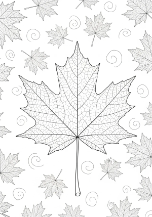 A detailed illustration of a single large maple leaf with intricate veins and textured edges, surrounded by smaller leaves and swirling patterns