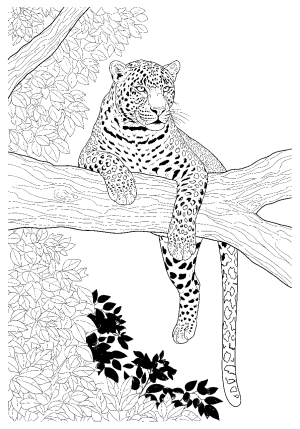 A detailed black and white illustration of a fierce leopard lounging on a tree branch with lush foliage in the background
