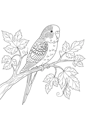 A cheerful parakeet perched on a leafy branch with intricate feather details.