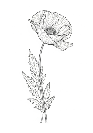 A detailed illustration of a single tall poppy flower with delicate petals and leaves swaying in the breeze.