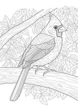 A focused illustration of a red cardinal sitting on a thick tree branch with detailed feathers and a background of detailed foliage