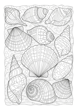 A detailed illustration of a variety of seashells layered on a sandy beach with intricate patterns and textures.