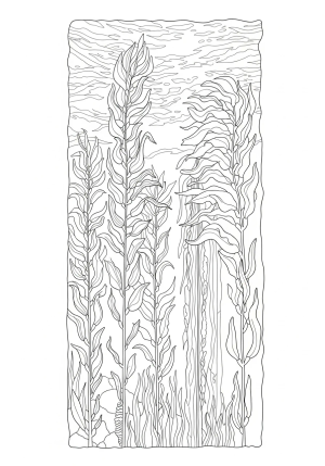 A graceful kelp forest with tall, flowing seaweed fronds and intricate patterns, set against a textured ocean background.