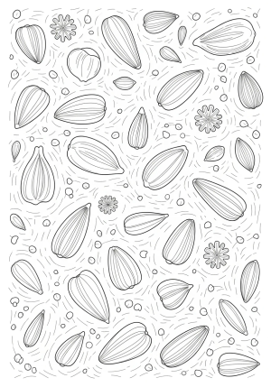 A detailed illustration of various seed types scattered across a textured surface, showcasing their shapes and sizes