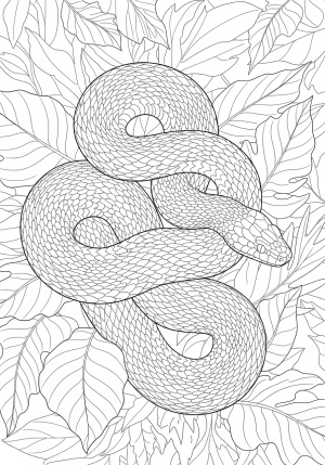 A detailed illustration of a coiled snake winding through lush jungle foliage, with intricate scales and veined leaves.