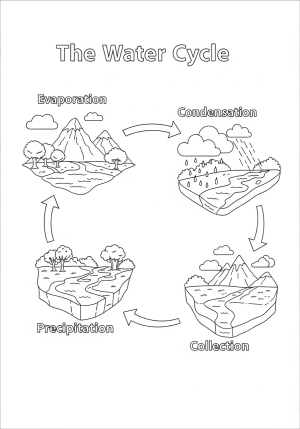 An educational illustration depicting the stages of the water cycle, including evaporation, condensation, precipitation, and collection, with trees, mountains, and bodies of water.