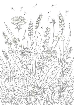 A detailed illustration of various wild weeds and grasses growing in a natural field setting with intricate leaf and seed patterns