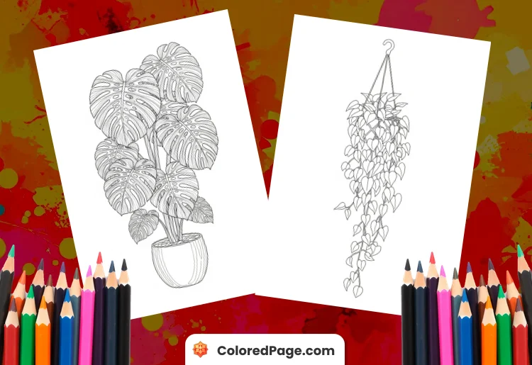 houseplant coloring pages