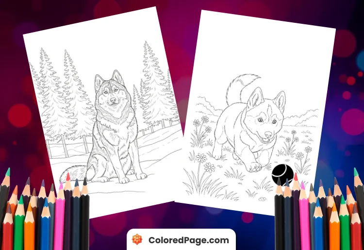 husky dog coloring pages