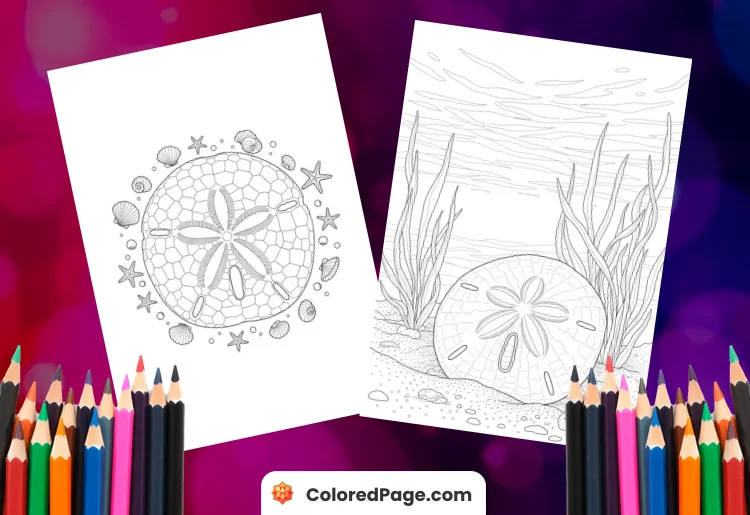sand dollar coloring page