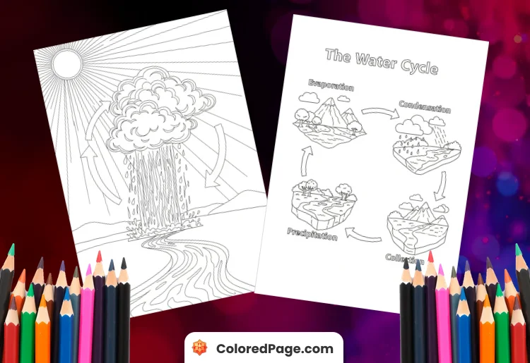 water cycle coloring page